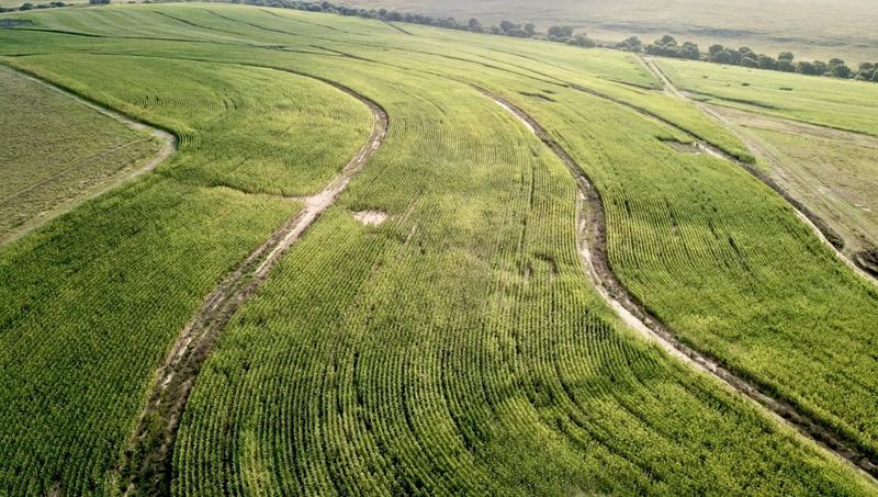 0 Bedroom Property for Sale in Harrismith Free State